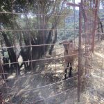 ΕΚΔΡΟΜΗ ΣΤΟ ΘΕΜΑΤΙΚΟ ΠΑΡΚΟ «ΚΡΗΤΑΓΕΝΗΣ ΔΙΑΣ» 05/09/2018