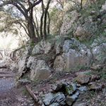ΕΚΔΡΟΜΗ ΣΤΟ ΦΑΡΑΓΓΙ ΤΟΥ ΑΓΙΟΥ ΑΝΤΩΝΙΟΥ &#8211; ΠΑΤΣΟΥ ΣΤΟ ΡΕΘΥΜΝΟ 22-02-2019
