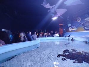 ΕΚΠΑΙΔΕΥΤΙΚΗ ΕΠΙΣΚΕΨΗ ΚΑΙ ΞΕΝΑΓΗΣΗ ΣΤΟΝ &#8220;ΘΑΛΑΣΣΟΚΟΣΜΟ&#8221; ΚΡΗΤΗΣ 30-04-2025