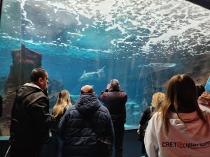 ΕΚΠΑΙΔΕΥΤΙΚΗ ΕΠΙΣΚΕΨΗ ΚΑΙ ΞΕΝΑΓΗΣΗ ΣΤΟΝ &#8220;ΘΑΛΑΣΣΟΚΟΣΜΟ&#8221; ΚΡΗΤΗΣ 30-04-2025