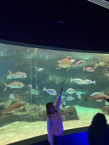 ΕΚΠΑΙΔΕΥΤΙΚΗ ΕΠΙΣΚΕΨΗ ΚΑΙ ΞΕΝΑΓΗΣΗ ΣΤΟΝ &#8220;ΘΑΛΑΣΣΟΚΟΣΜΟ&#8221; ΚΡΗΤΗΣ 30-04-2025