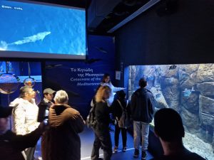 ΕΚΠΑΙΔΕΥΤΙΚΗ ΕΠΙΣΚΕΨΗ ΚΑΙ ΞΕΝΑΓΗΣΗ ΣΤΟΝ &#8220;ΘΑΛΑΣΣΟΚΟΣΜΟ&#8221; ΚΡΗΤΗΣ 30-04-2025