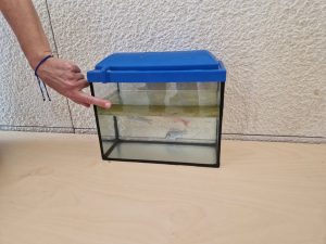 ΚΟΙΝΩΝΙΚΟ ΠΛΑΙΣΙΟ ΣΤΟ ΚΕΝΤΡΟ ΠΕΡΙΒΑΛΛΟΝΤΙΚΗΣ ΕΚΠΑΙΔΕΥΣΗΣ (ΚΕΠΕΑ) ΑΡΧΑΝΩΝ 05-06-2025