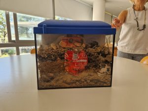 ΚΟΙΝΩΝΙΚΟ ΠΛΑΙΣΙΟ ΣΤΟ ΚΕΝΤΡΟ ΠΕΡΙΒΑΛΛΟΝΤΙΚΗΣ ΕΚΠΑΙΔΕΥΣΗΣ (ΚΕΠΕΑ) ΑΡΧΑΝΩΝ 05-06-2025
