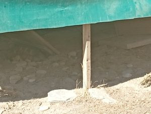 ΕΠΙΣΚΕΨΗ ΣΕ ΚΤΗΝΙΑΤΡΕΙΟ – ΒΙΩΜΑΤΙΚΗ ΔΡΑΣΗ ΚΟΙΝΩΝΙΚΗΣ ΕΚΠΑΙΔΕΥΣΗΣ 08-09-2026