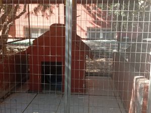 ΕΠΙΣΚΕΨΗ ΣΕ ΚΤΗΝΙΑΤΡΕΙΟ – ΒΙΩΜΑΤΙΚΗ ΔΡΑΣΗ ΚΟΙΝΩΝΙΚΗΣ ΕΚΠΑΙΔΕΥΣΗΣ 08-09-2026