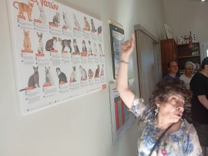 ΕΠΙΣΚΕΨΗ ΣΕ ΚΤΗΝΙΑΤΡΕΙΟ – ΒΙΩΜΑΤΙΚΗ ΔΡΑΣΗ ΚΟΙΝΩΝΙΚΗΣ ΕΚΠΑΙΔΕΥΣΗΣ 08-09-2026